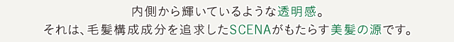 内側から輝いているような透明感。それは、毛髪構成成分を追求したSCENAがもたらす美髪の源です。