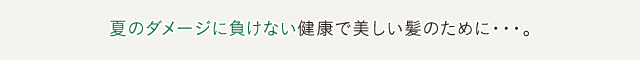 夏のダメージに負けない健康で美しい髪のために・・・。